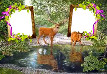 Foto effect van de categorie Verschillend № 115890