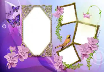 Foto effect van de categorie Verschillend № 115891