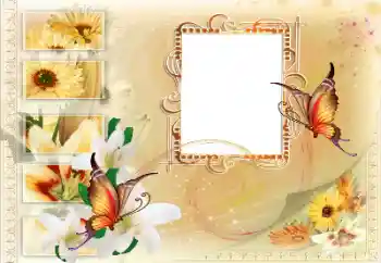 Foto effect van de categorie Verschillend № 115894