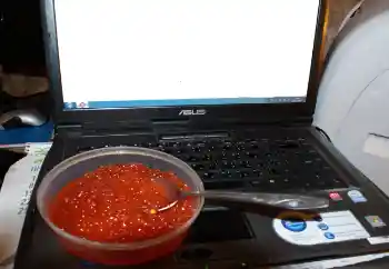 Foto effect van de categorie Verschillend № 115910