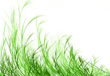 Foto effect van de categorie Verschillend № 115932