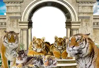 Foto effect van de categorie Verschillend № 116203