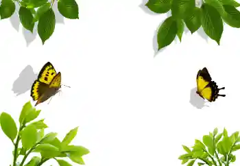 Foto effect van de categorie Verschillend № 117282