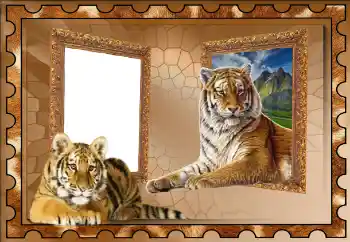 Foto effect van de categorie Verschillend № 117310