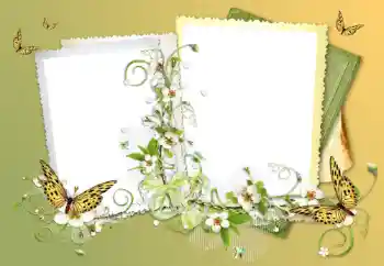 Foto effect van de categorie Verschillend № 117632 Foto effect van de categorie Verschillend № 117632