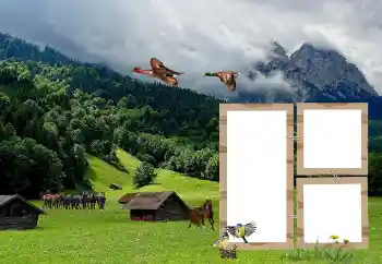 Foto effect van de categorie Verschillend № 118908 Foto effect van de categorie Verschillend № 118908