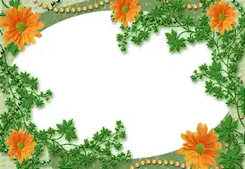 Foto effect van de categorie Verschillend № 118929 Foto effect van de categorie Verschillend № 118929