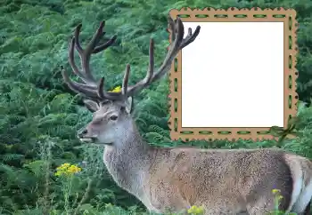 Foto effect van de categorie Verschillend № 121049 Foto effect van de categorie Verschillend № 121049