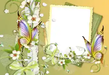 Foto effect van de categorie Verschillend № 121056 Foto effect van de categorie Verschillend № 121056