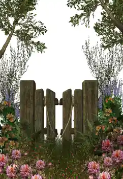 Foto effect van de categorie Verschillend № 123212