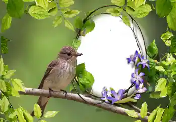 Foto effect van de categorie Verschillend № 123219