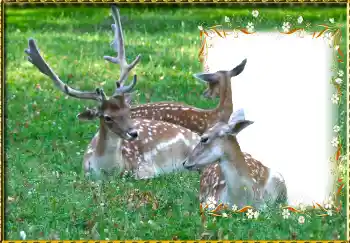 Foto effect van de categorie Verschillend № 123221