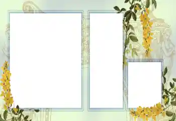 Foto effect van de categorie Verschillend № 123242