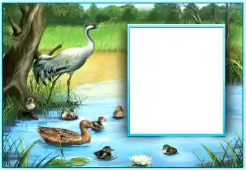 Foto effect van de categorie Verschillend № 124254