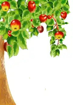 Foto effect van de categorie Verschillend № 124400