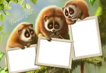 Foto effect van de categorie Verschillend № 124434