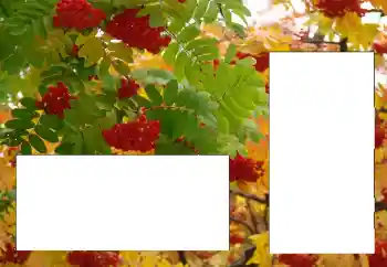 Foto effect van de categorie Verschillend № 124596