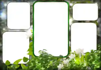 Foto effect van de categorie Verschillend № 125911 Foto effect van de categorie Verschillend № 125911