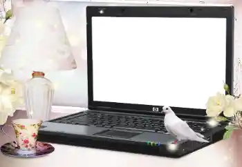 Foto effect van de categorie Verschillend № 127079 Foto effect van de categorie Verschillend № 127079