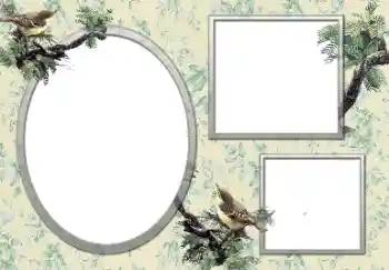 Foto effect van de categorie Verschillend № 127132 Foto effect van de categorie Verschillend № 127132