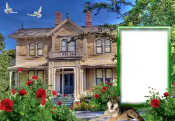 Foto effect van de categorie Verschillend № 127146