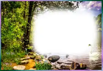 Foto effect van de categorie Verschillend № 127169