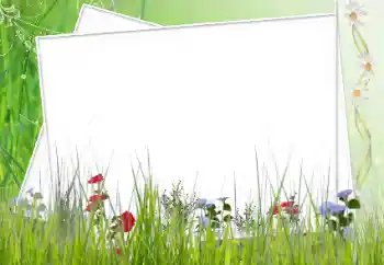 Foto effect van de categorie Verschillend № 12902