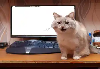 Foto effect van de categorie Verschillend № 130940