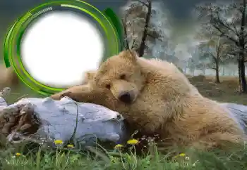 Foto effect van de categorie Verschillend № 131305