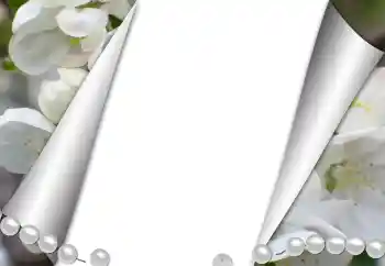 Foto effect van de categorie Verschillend № 131361