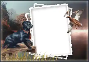 Foto effect van de categorie Verschillend № 132874