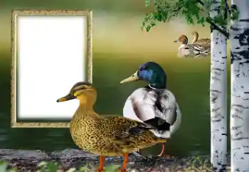 Foto effect van de categorie Verschillend № 132884