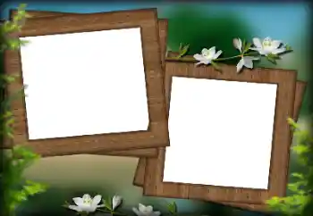 Foto effect van de categorie Verschillend № 132936 Foto effect van de categorie Verschillend № 132936