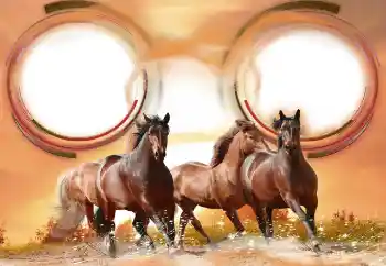 Foto effect van de categorie Verschillend № 133286