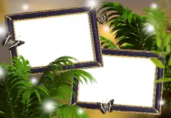 Foto effect van de categorie Verschillend № 133299