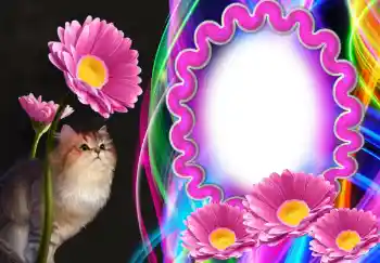 Foto effect van de categorie Verschillend № 138543