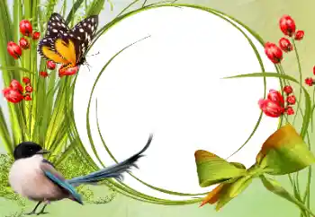 Foto effect van de categorie Verschillend № 138546 Foto effect van de categorie Verschillend № 138546