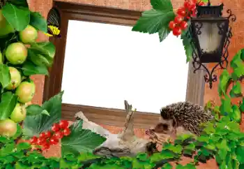 Foto effect van de categorie Verschillend № 13917