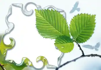 Foto effect van de categorie Verschillend № 13921