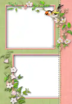 Foto effect van de categorie Verschillend № 13930