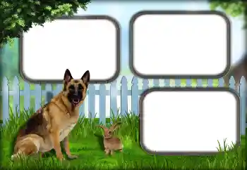 Foto effect van de categorie Verschillend № 139921