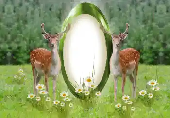 Foto effect van de categorie Verschillend № 142259