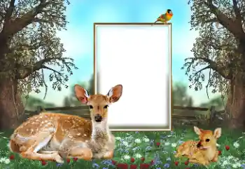 Foto effect van de categorie Verschillend № 143762