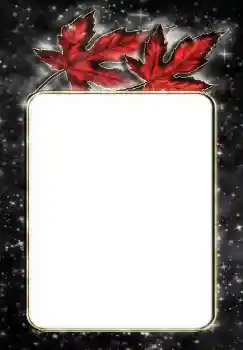 Foto effect van de categorie Verschillend № 144867