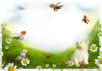 Foto effect van de categorie Verschillend № 144908 Foto effect van de categorie Verschillend № 144908