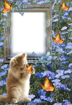 Foto effect van de categorie Verschillend № 147609