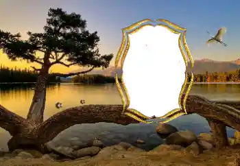 Foto effect van de categorie Verschillend № 147663