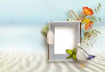 Foto effect van de categorie Verschillend № 147890 Foto effect van de categorie Verschillend № 147890