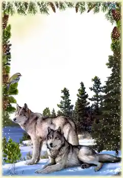 Foto effect van de categorie Verschillend № 149260 Foto effect van de categorie Verschillend № 149260