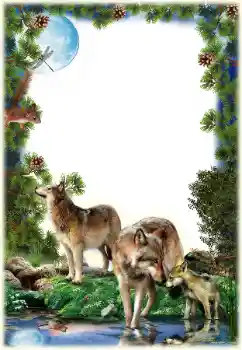 Foto effect van de categorie Verschillend № 149261 Foto effect van de categorie Verschillend № 149261